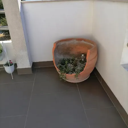 Luna Apartment Sveti Filip i Jakov